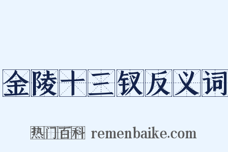 金陵十三钗反义词是什么意思的图片